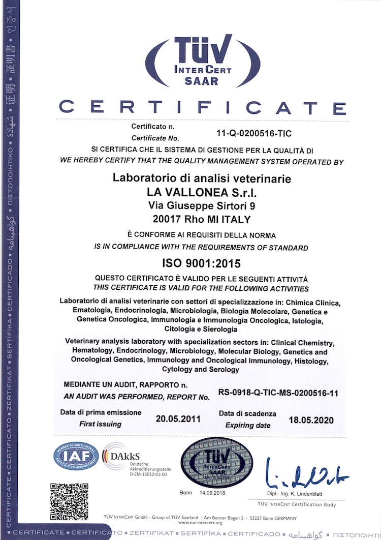 CERTIFICATO UNI EN ISO 9001:2008