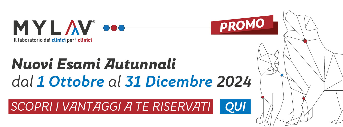 Canvass Autunno 2024